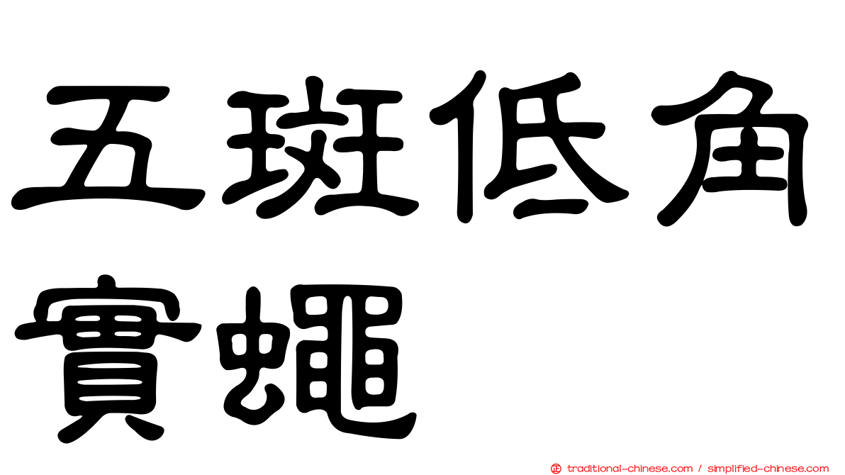 五斑低角實蠅