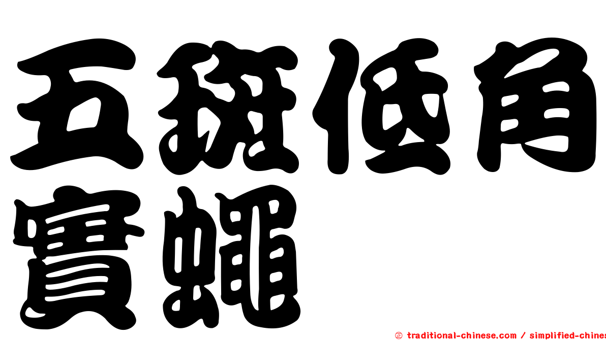 五斑低角實蠅