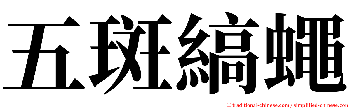 五斑縞蠅 serif font