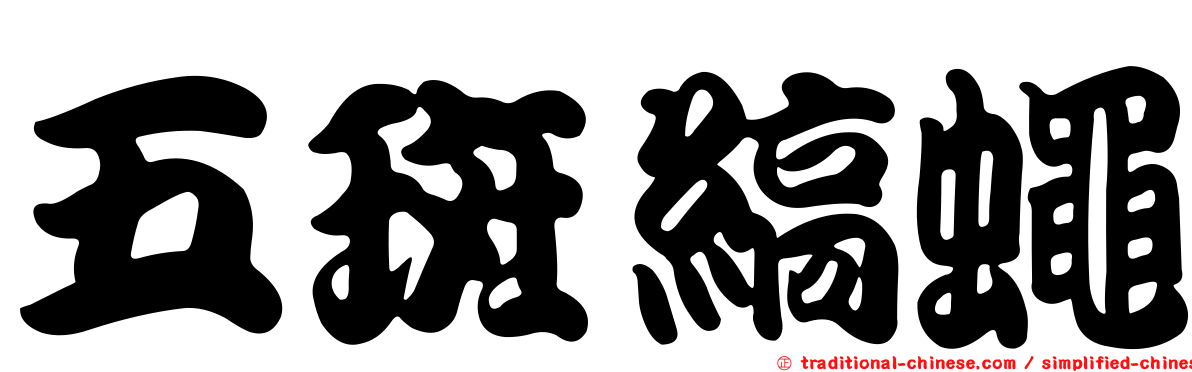 五斑縞蠅