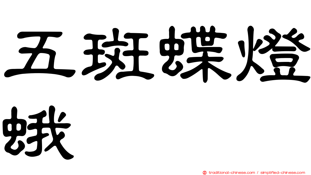 五斑蝶燈蛾