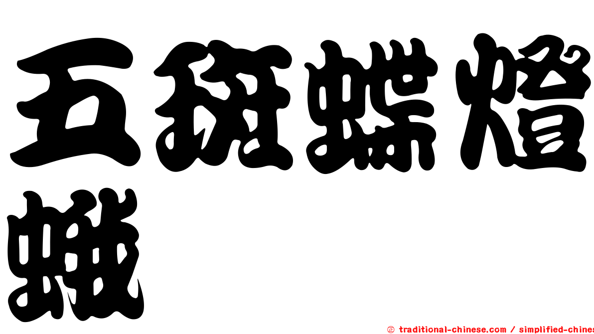 五斑蝶燈蛾
