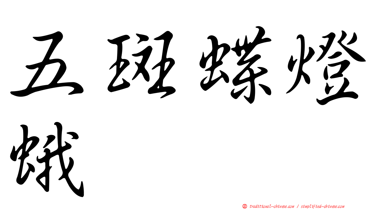 五斑蝶燈蛾