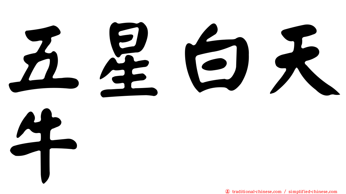 五星白天牛