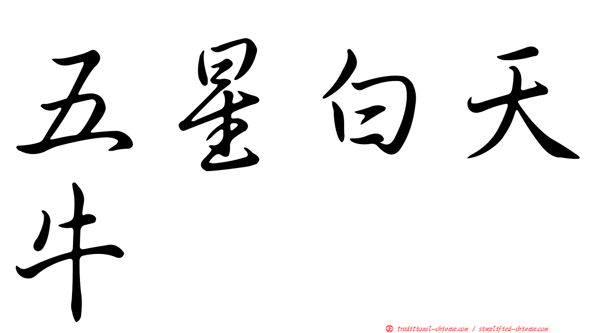 五星白天牛