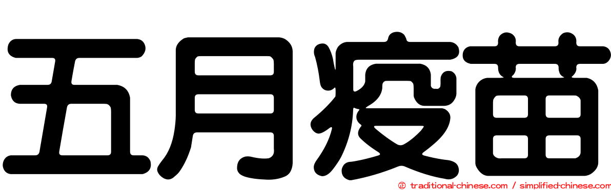 五月疫苗