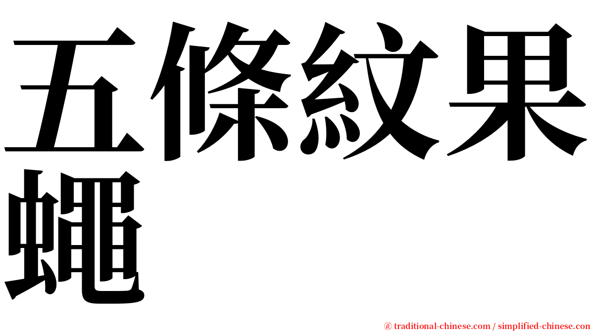 五條紋果蠅 serif font