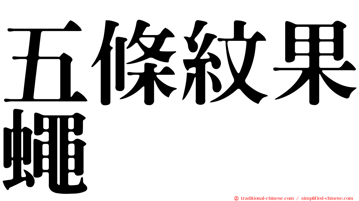 五條紋果蠅