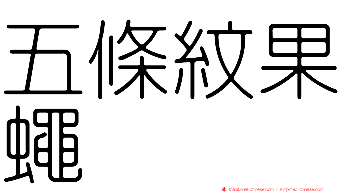五條紋果蠅