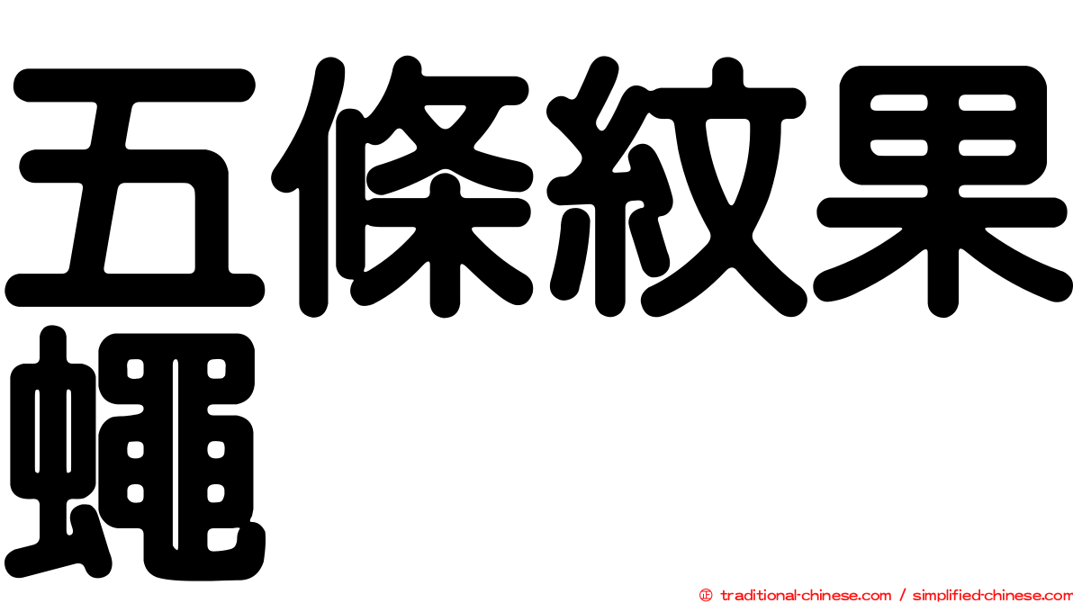 五條紋果蠅