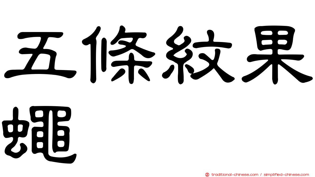 五條紋果蠅