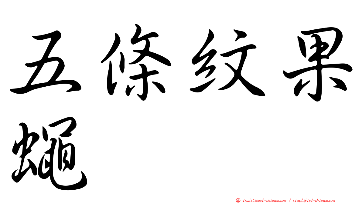 五條紋果蠅