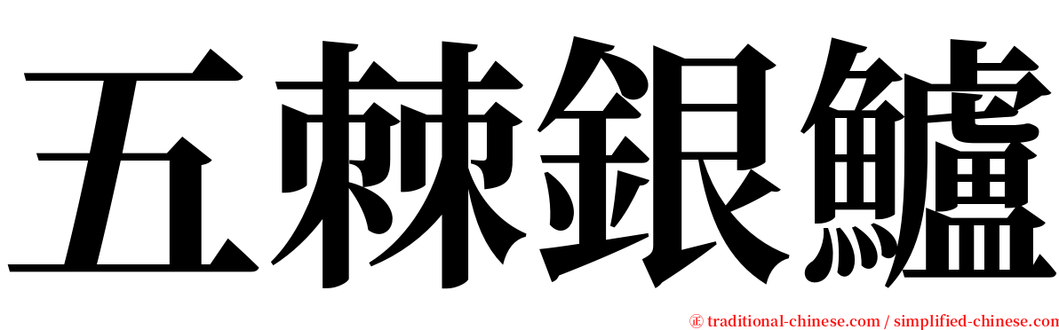 五棘銀鱸 serif font
