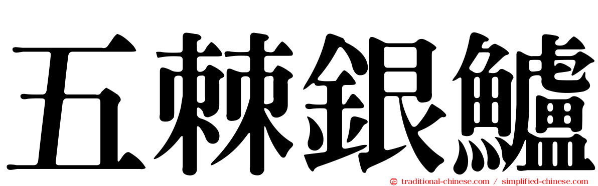 五棘銀鱸