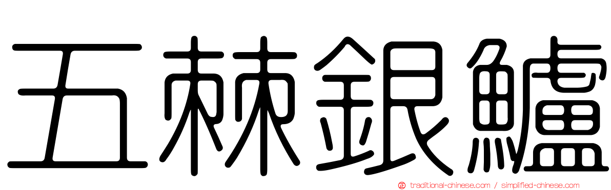 五棘銀鱸