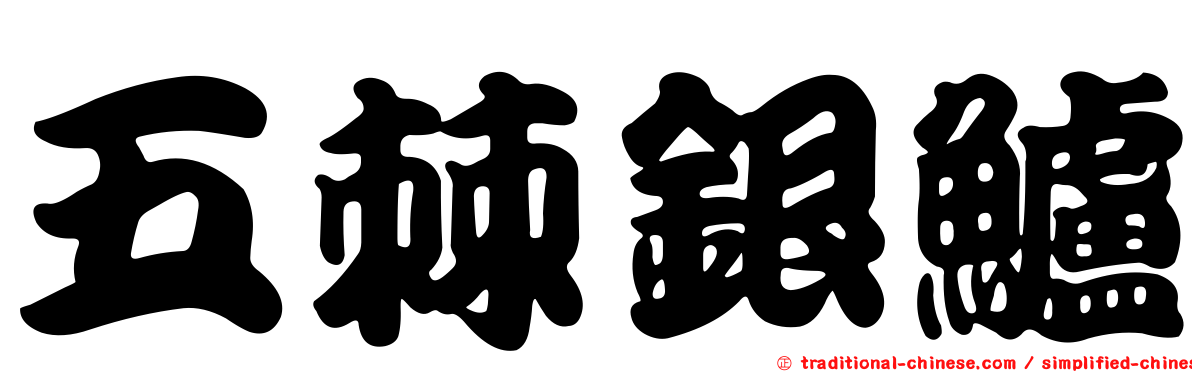 五棘銀鱸