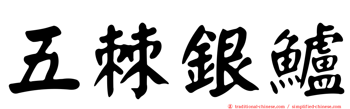 五棘銀鱸
