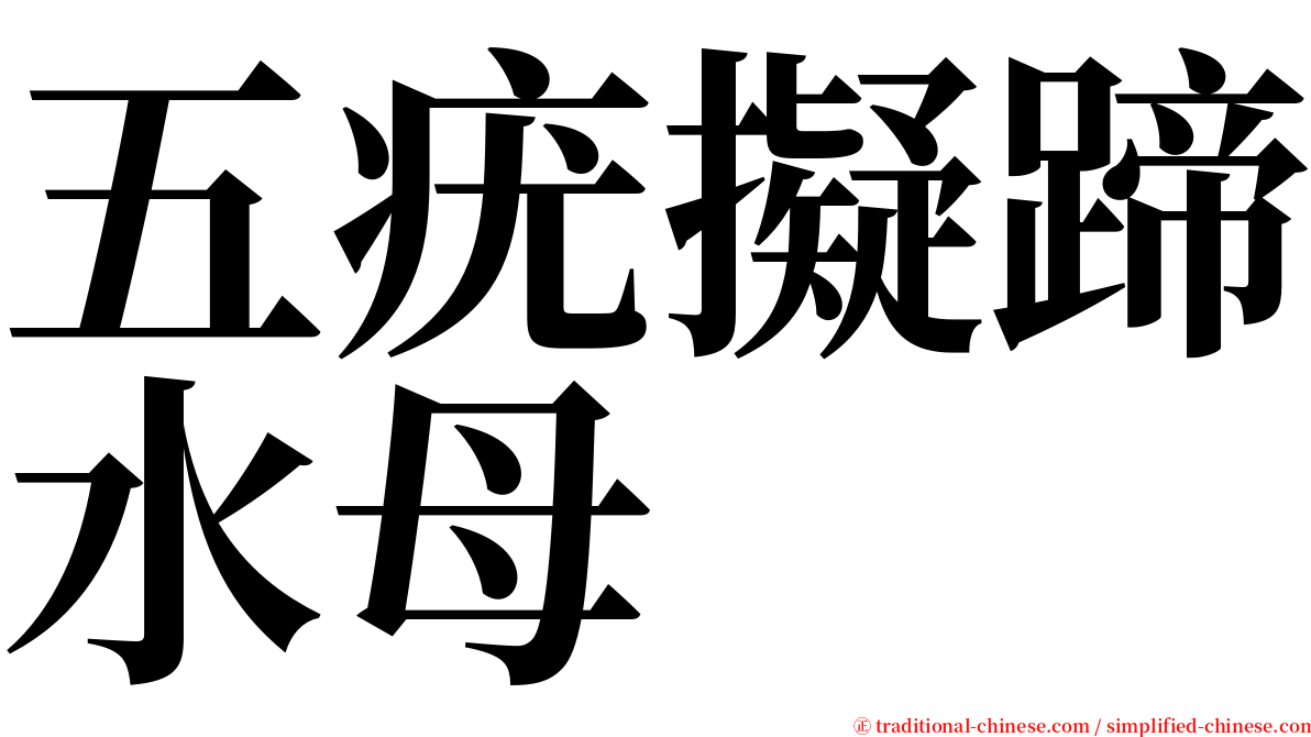 五疣擬蹄水母 serif font