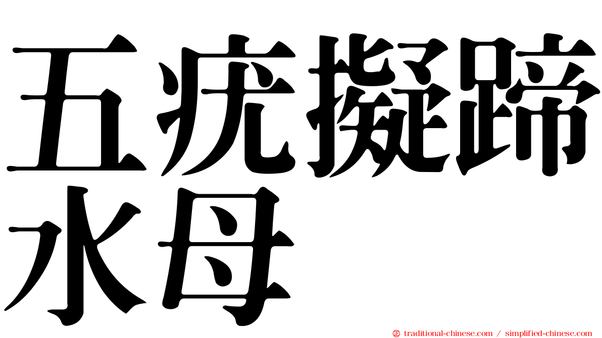 五疣擬蹄水母