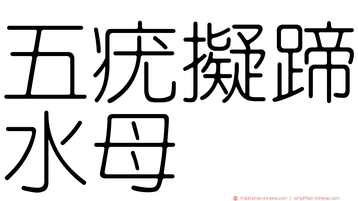 五疣擬蹄水母