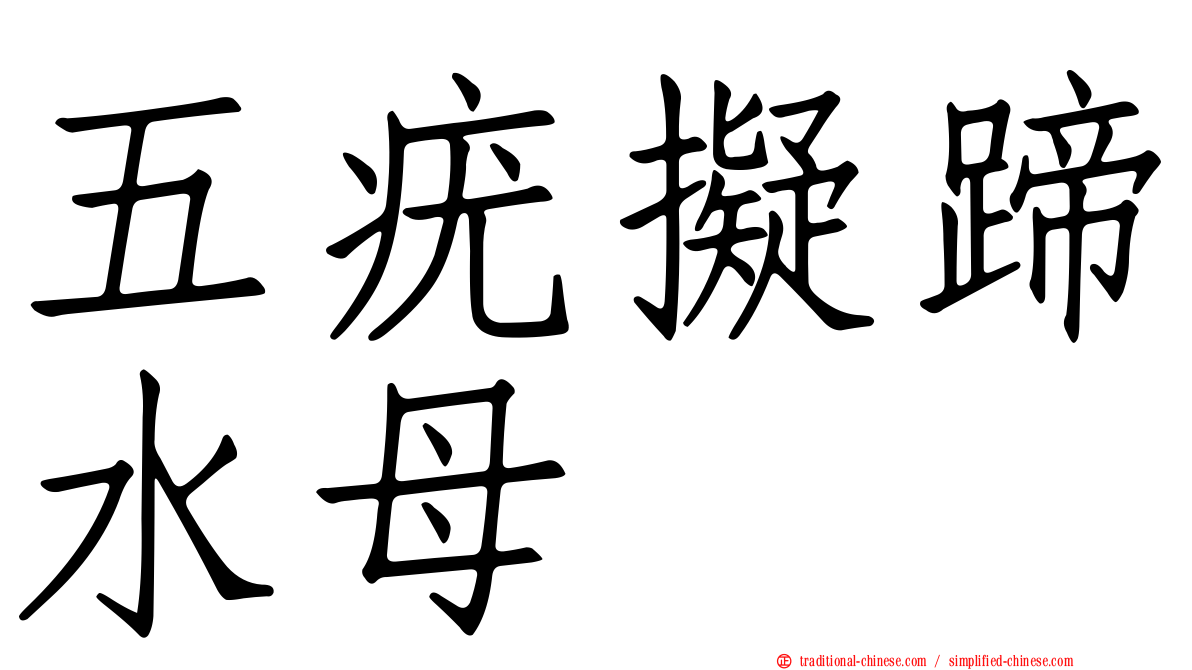 五疣擬蹄水母