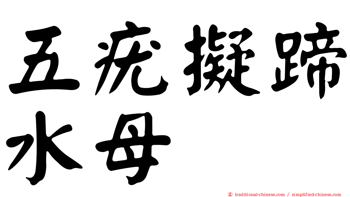 五疣擬蹄水母