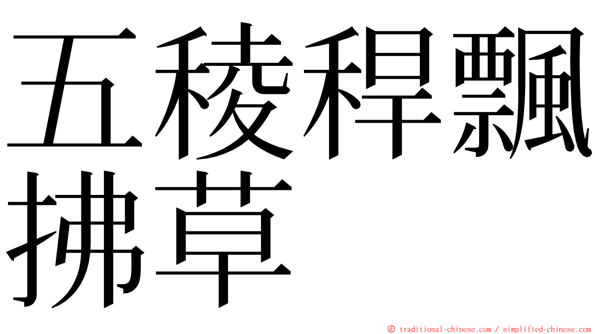 五稜稈飄拂草 ming font