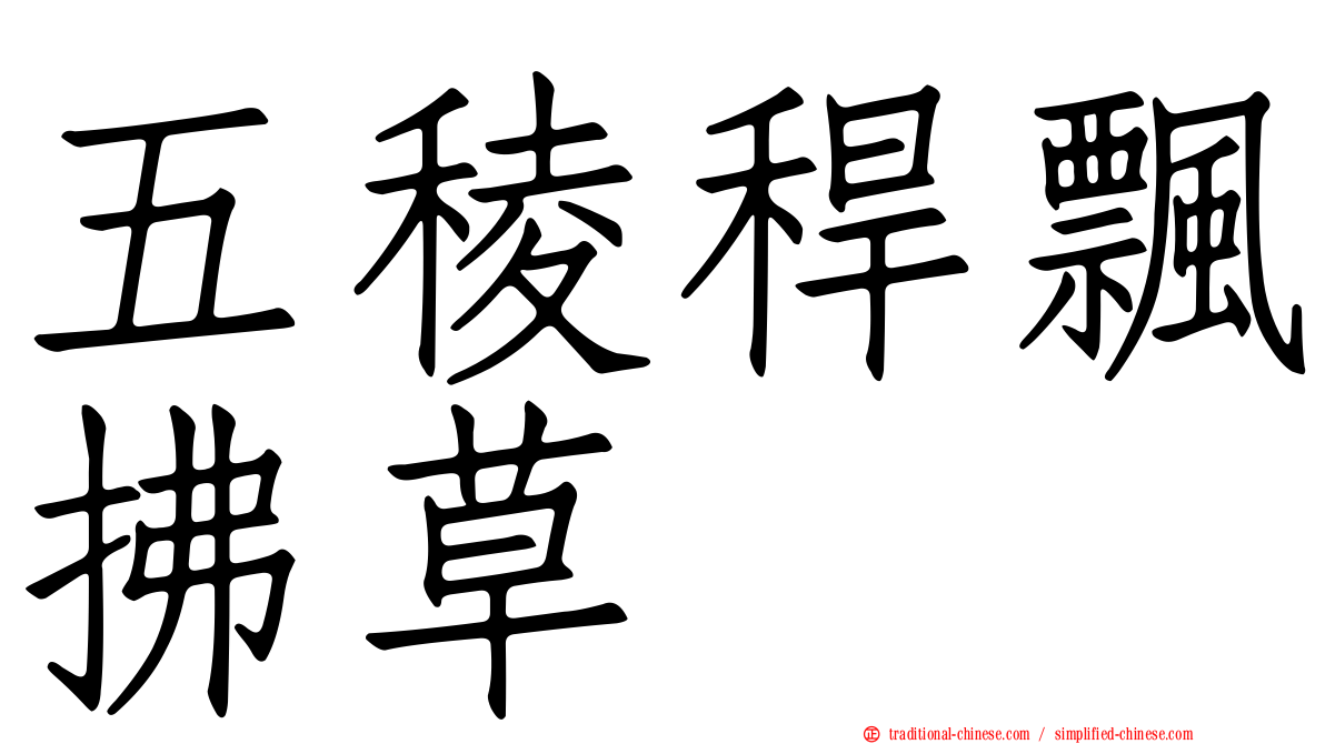 五稜稈飄拂草