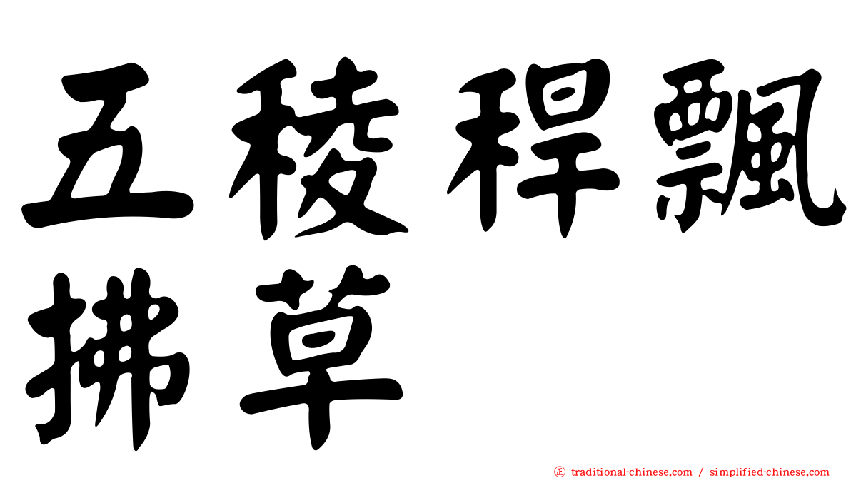 五稜稈飄拂草