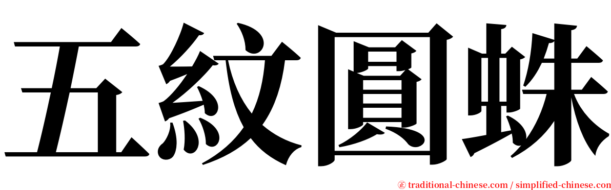 五紋圓蛛 serif font