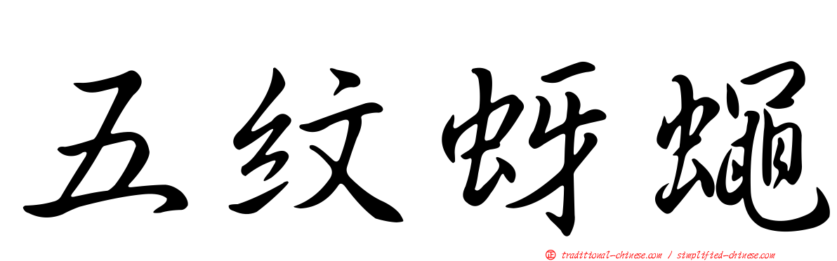 五紋蚜蠅