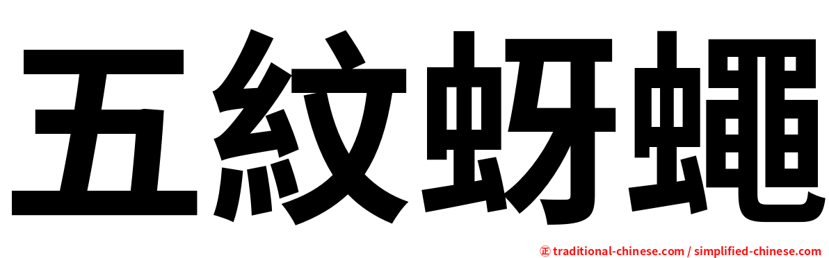五紋蚜蠅
