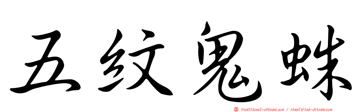 五紋鬼蛛