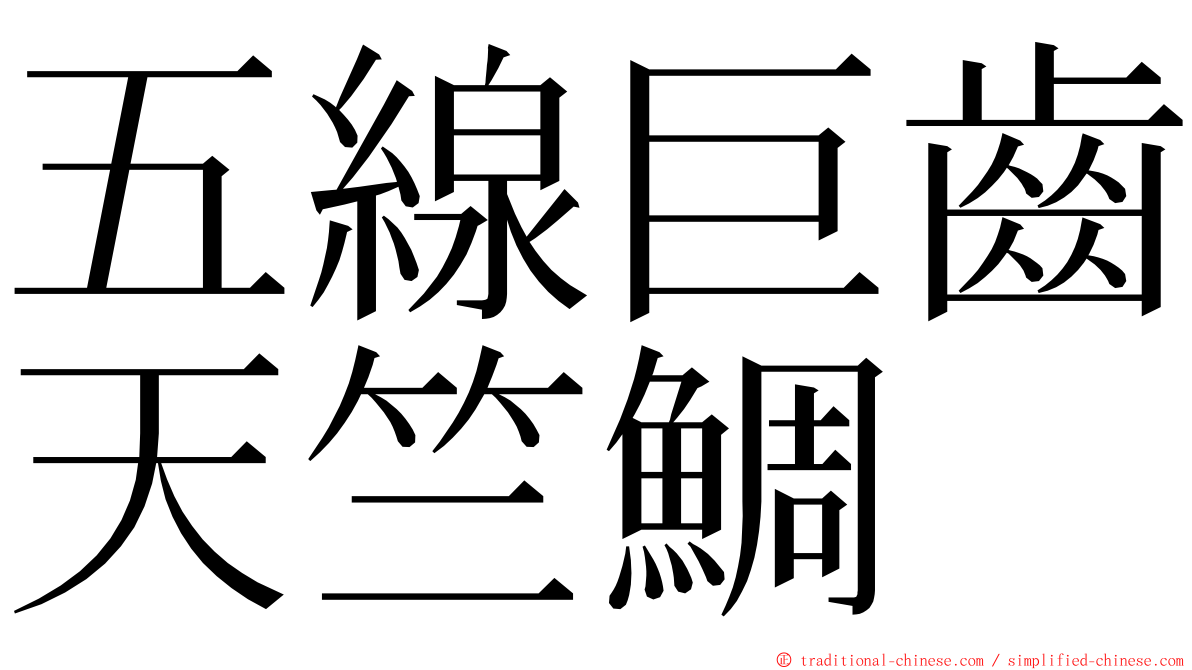 五線巨齒天竺鯛 ming font