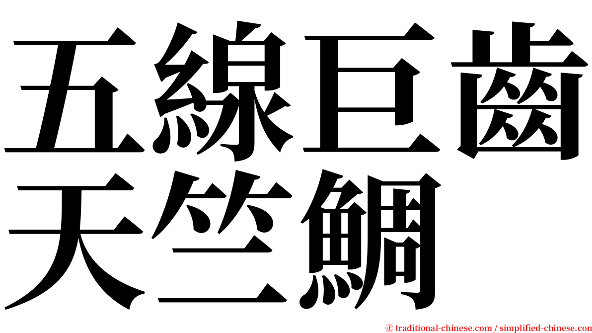 五線巨齒天竺鯛 serif font