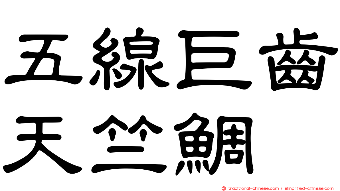 五線巨齒天竺鯛