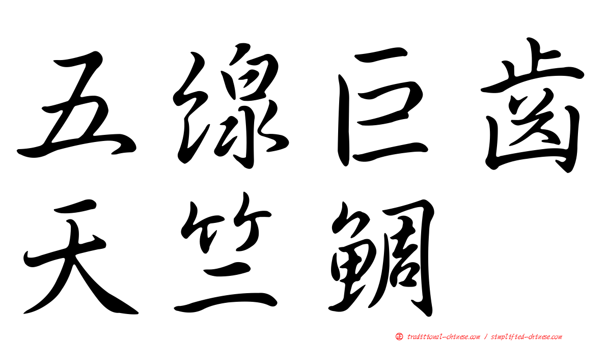五線巨齒天竺鯛