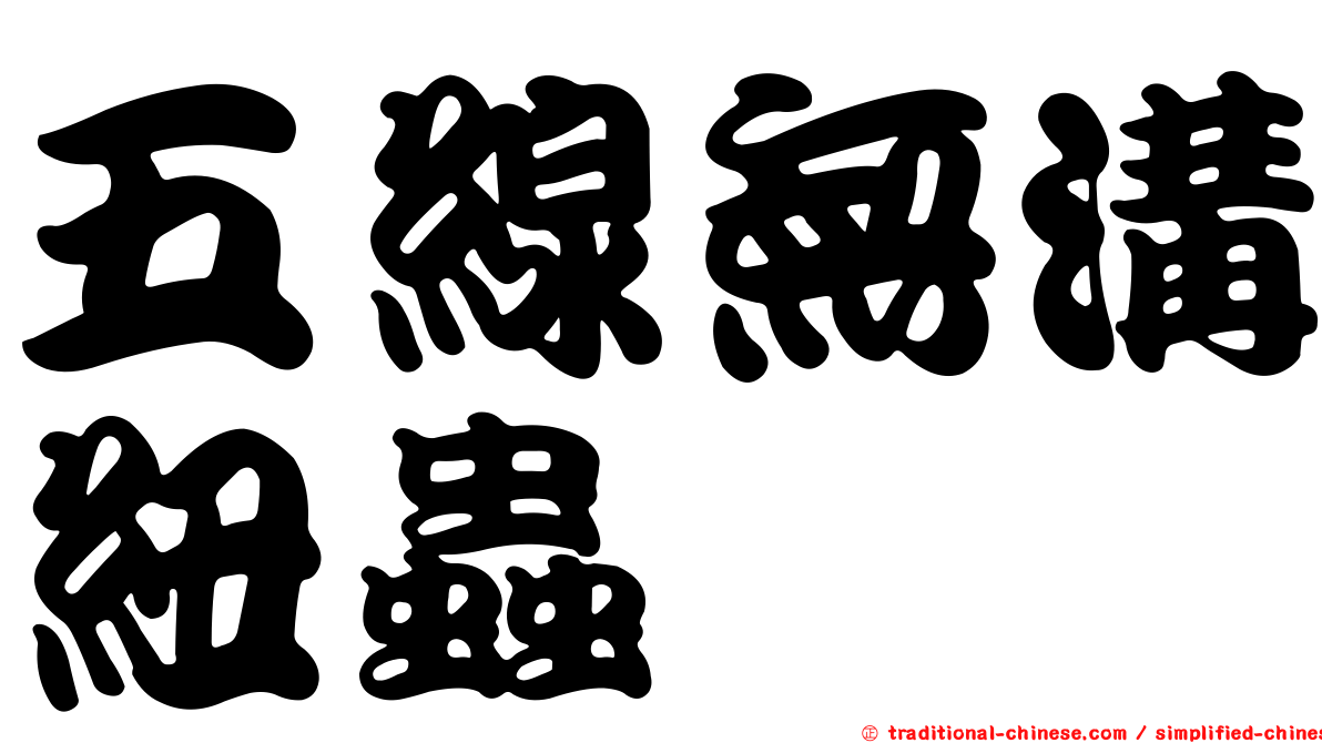 五線無溝紐蟲