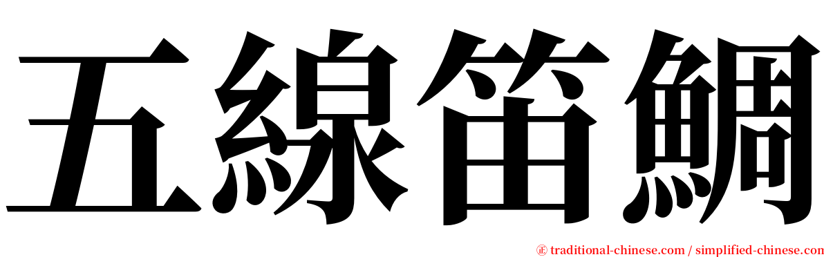 五線笛鯛 serif font