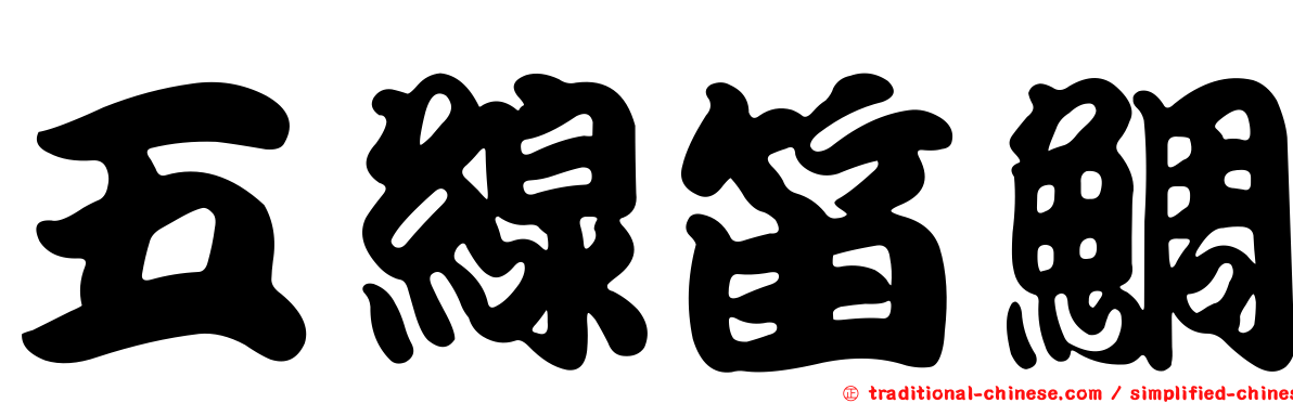 五線笛鯛