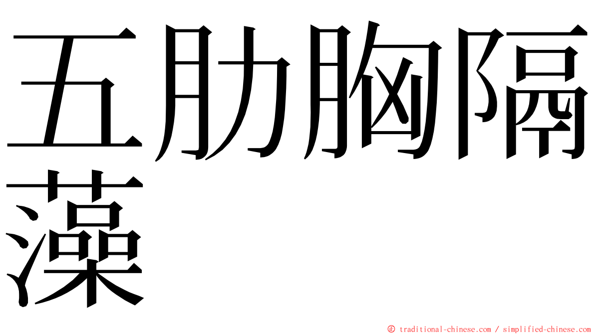 五肋胸隔藻 ming font