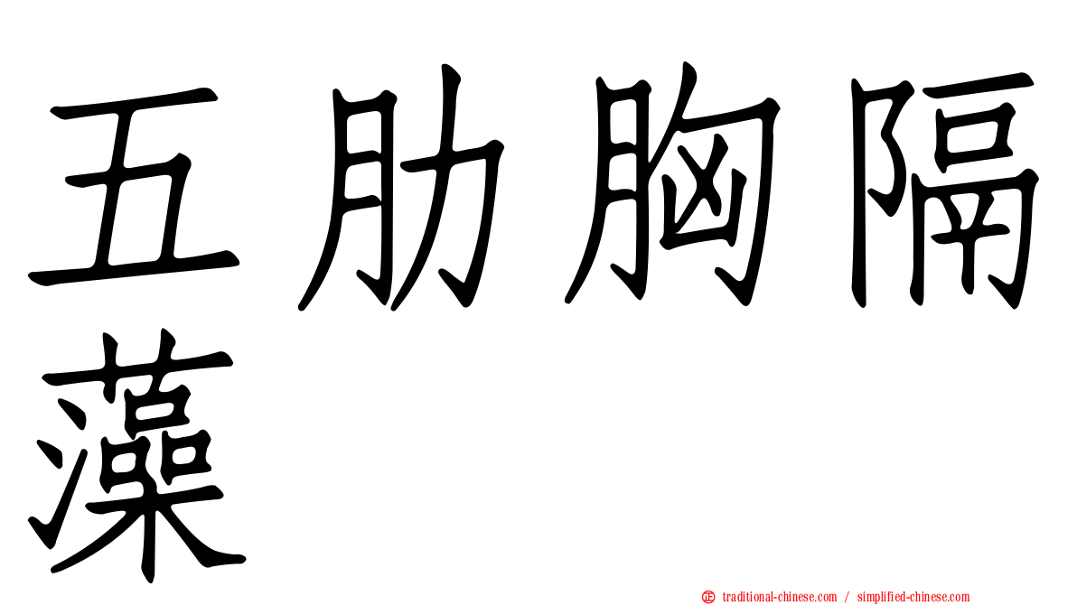 五肋胸隔藻