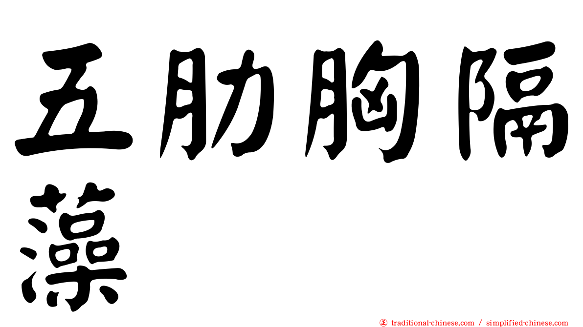 五肋胸隔藻