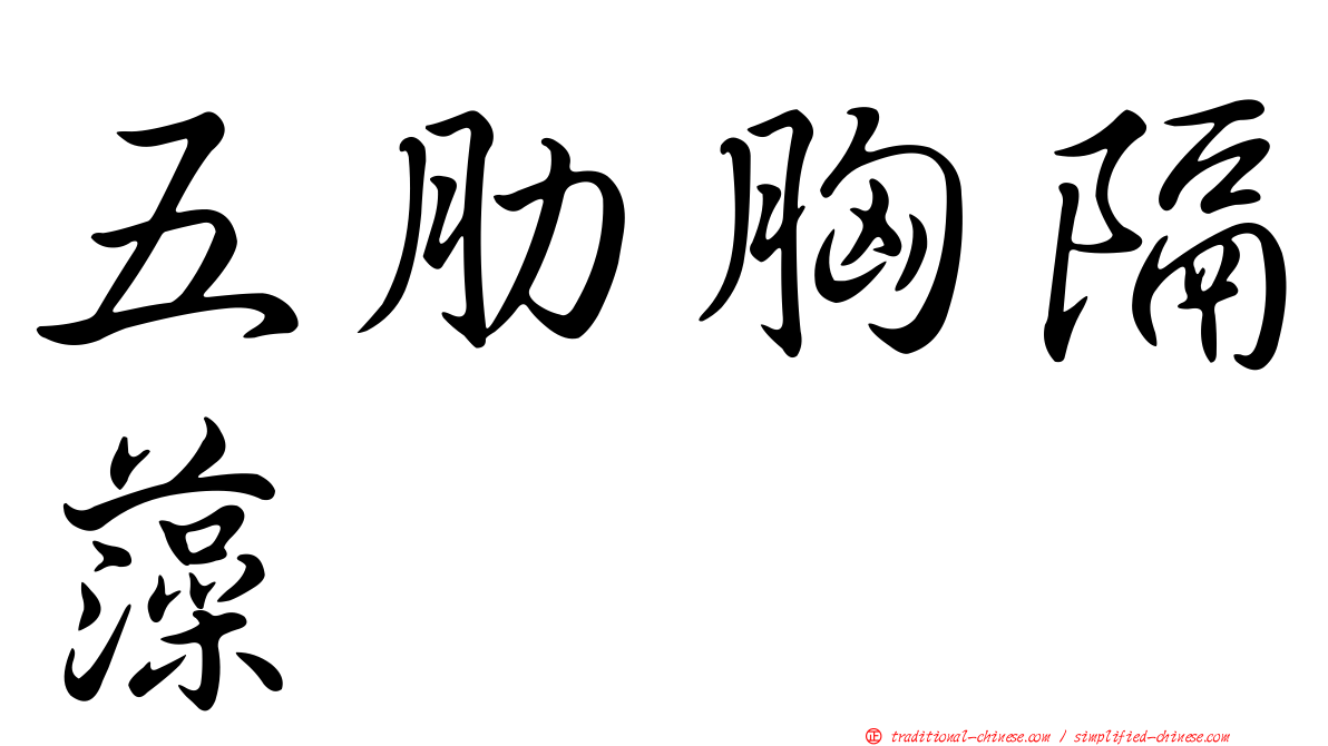 五肋胸隔藻