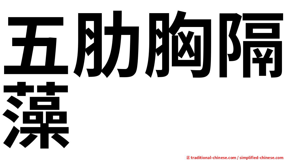 五肋胸隔藻