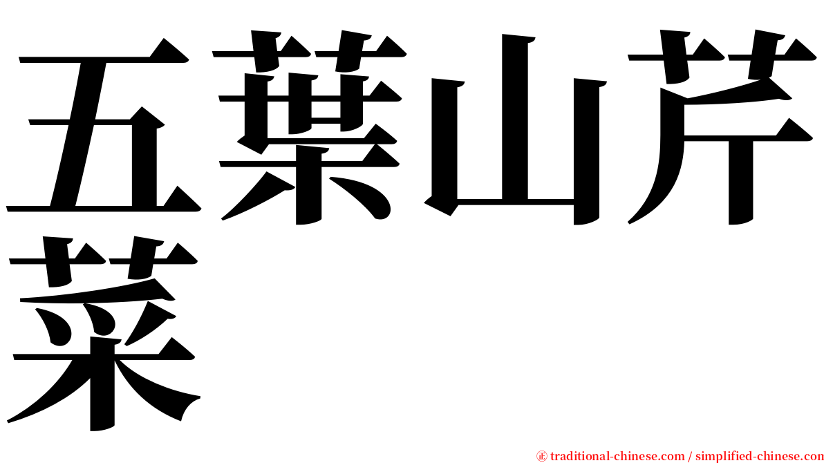 五葉山芹菜 serif font