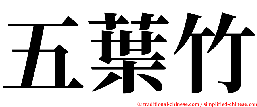 五葉竹 serif font