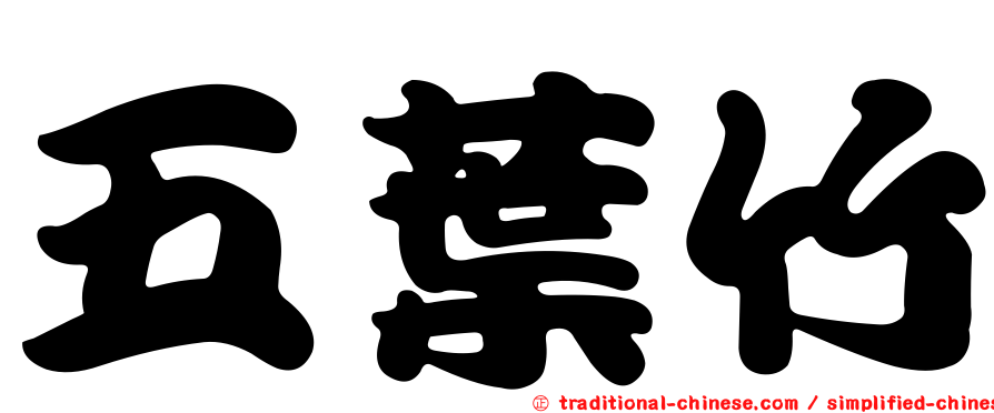 五葉竹
