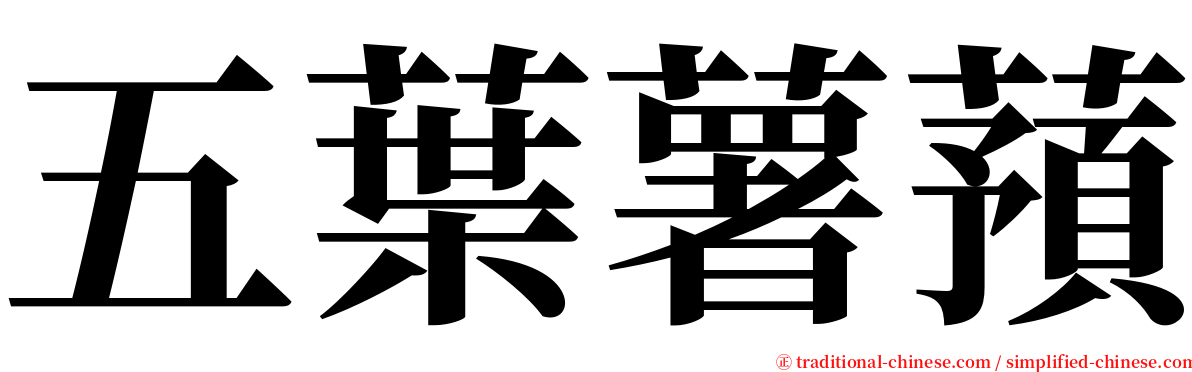 五葉薯蕷 serif font