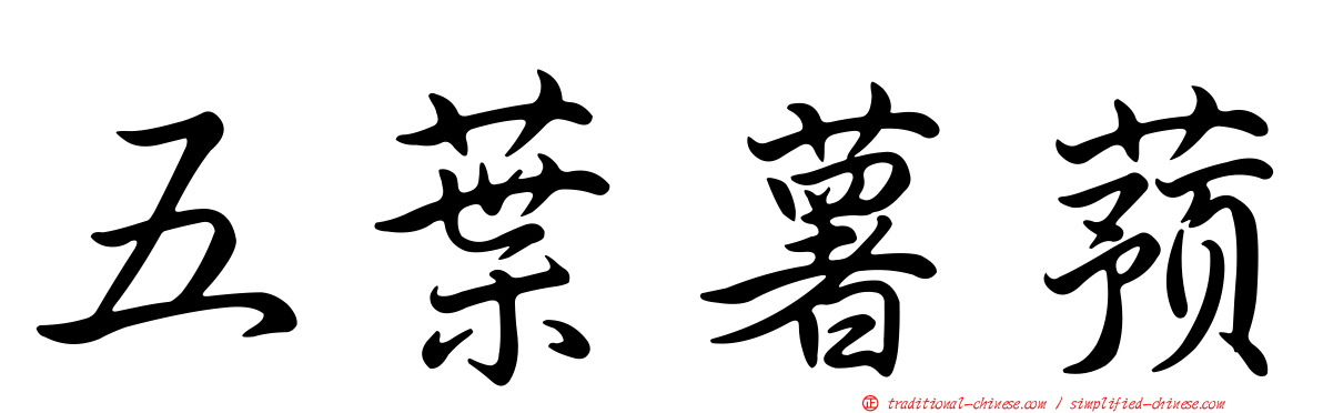 五葉薯蕷